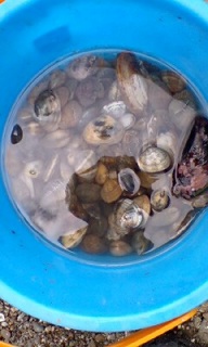 ��������ɍs���Ă܂����B