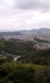 �����낵����c